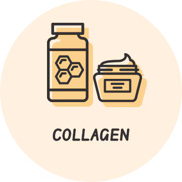Collagen 360x