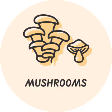 Mushroom 360x